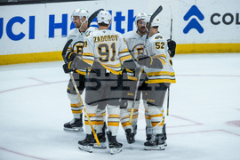Bruins Ducks Hockey