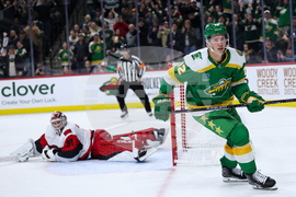 Hurricanes Wild Hockey