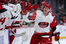 Hurricanes Wild Hockey