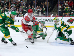 Hurricanes Wild Hockey