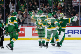 Hurricanes Wild Hockey