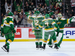 Hurricanes Wild Hockey