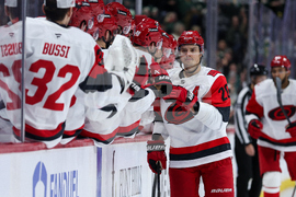 Hurricanes Wild Hockey