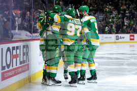 Hurricanes Wild Hockey