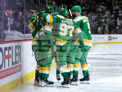 Hurricanes Wild Hockey