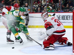 Hurricanes Wild Hockey