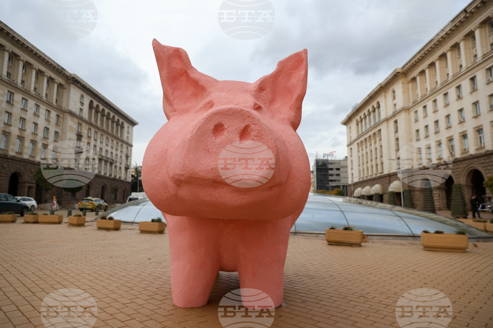 Continue the Change Criticizes Budget with Giant Piggy Bank Outside Parliament