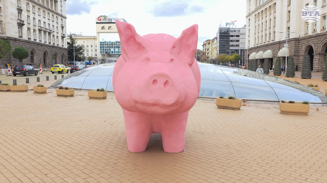 С поставяне на фигура на прасе-касичка пред парламента от ПП изразиха недоволството си от бюджета