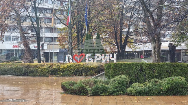 Средната брутна работна заплата в област Добрич през третото тримесечие достига 1945 лева, по данни на статистиката