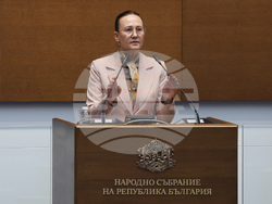 Народно събрание - пленарно заседание