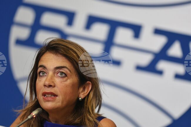 Iter Vitis President Outlines Bulgaria's Key Role in European Wine Production and Wine Tourism