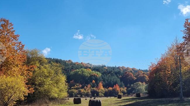 Прогноза за времето 