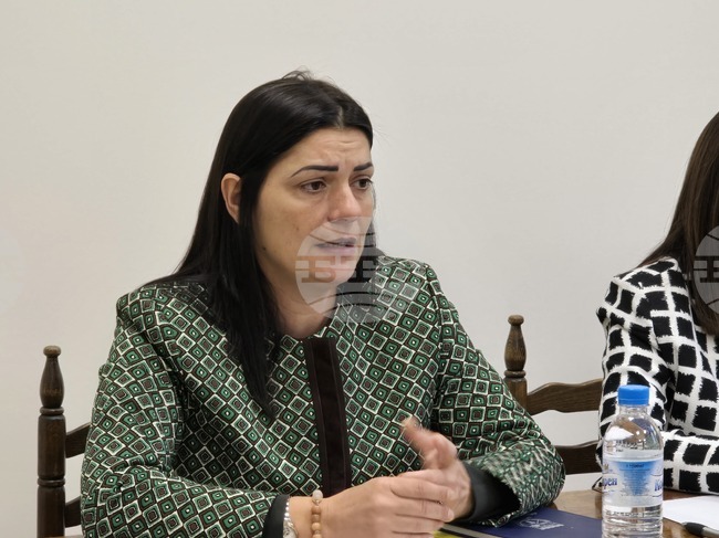 Три големи проекта се очаква да бъдат започнати догодина в Мизия, каза кметът Валя Берчева 