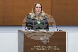 Народно събрание - заседание