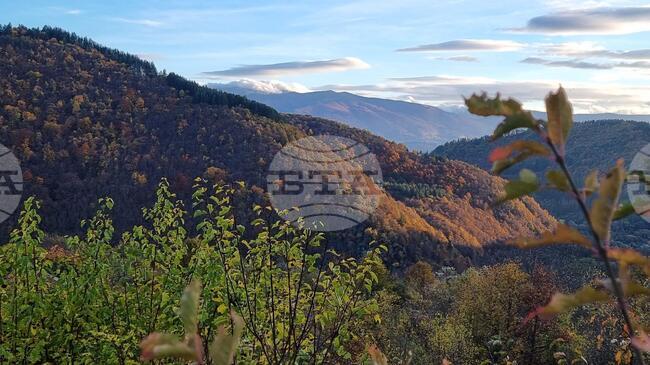 Прогноза за времето 