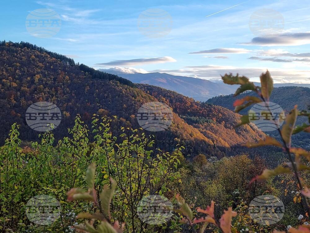 Прогноза за времето 