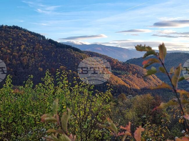 Прогноза за времето 