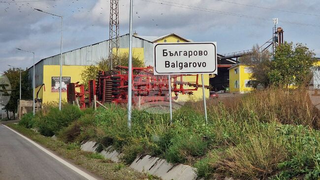 Мъж е задържан в Българово за убийство на куче