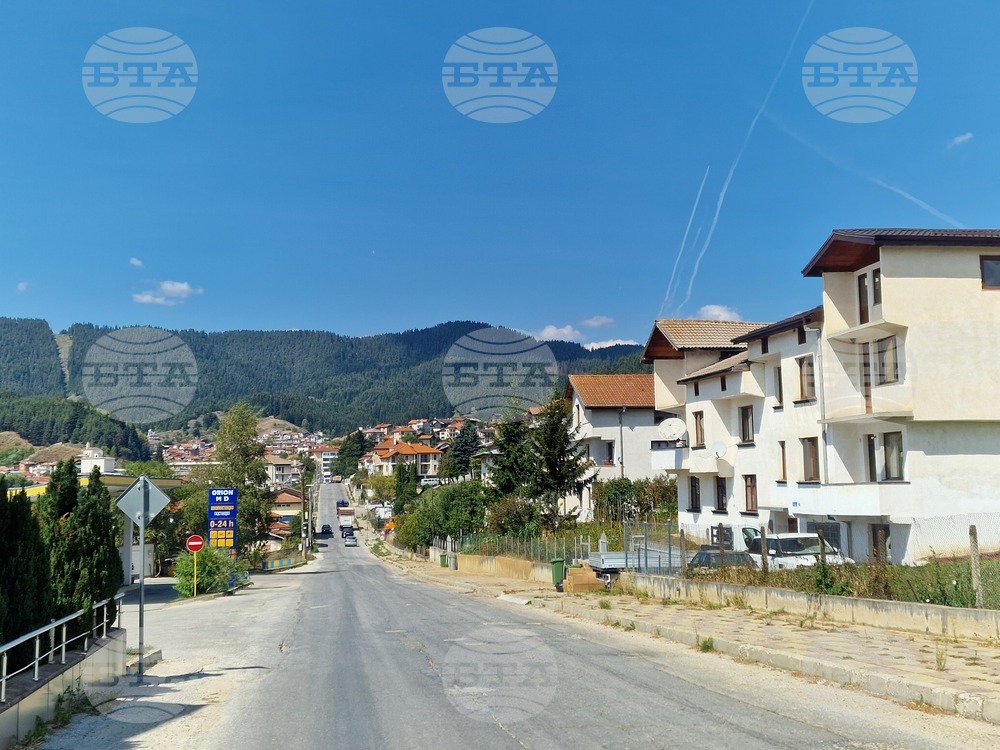 Кметът на Борино се закани да сложи ред с безпризорно пуснатите животни по пътя заради катастрофа