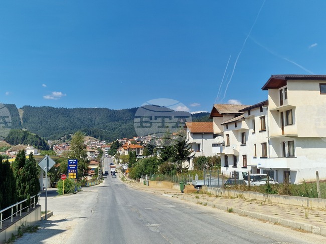 Кметът на Борино се закани да сложи ред с безпризорно пуснатите животни по пътя заради катастрофа