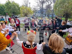 Димитровград - златна сватба - отбелязване