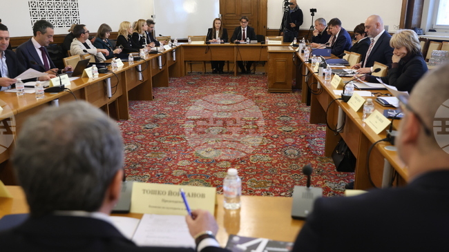 Комисията по културата и медиите в Народното събрание обсъжда на първо гласуване законопроекта на държавния бюджет за 2026 г. в частта му за култура