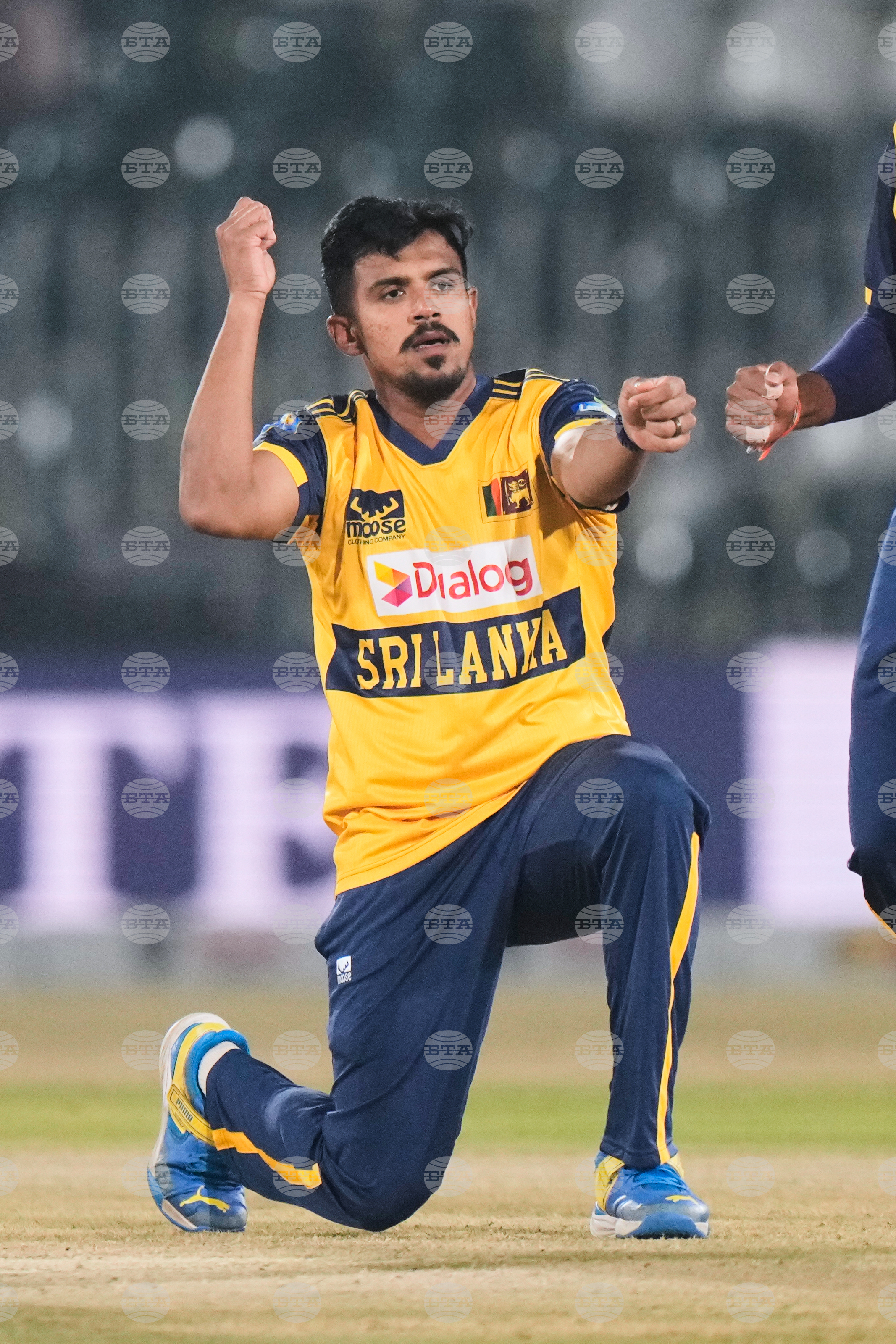 Pakistan Tri-Series Cricket