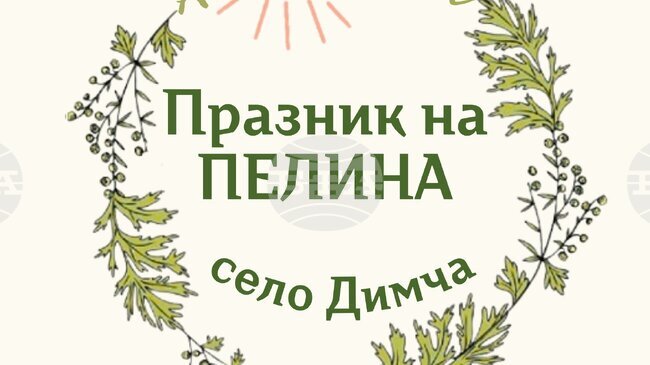 Кулинарен конкурс и фолклорна програма подготвят организаторите на първия Празник на пелина в павликенското село Димча