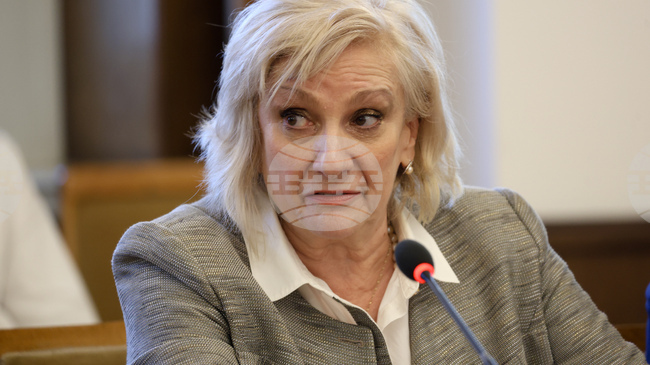 Сценичните изкуства имат нужда от финансиране, каза депутатът от ДПС - Ново начало Искра Михайлова - Копарова