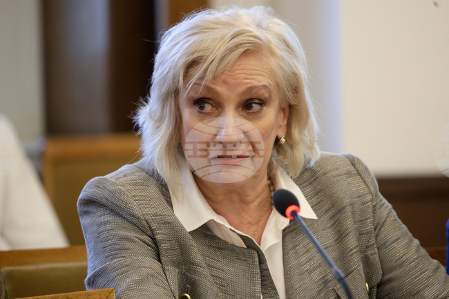 Сценичните изкуства имат нужда от финансиране, каза депутатът от ДПС - Ново начало Искра Михайлова - Копарова