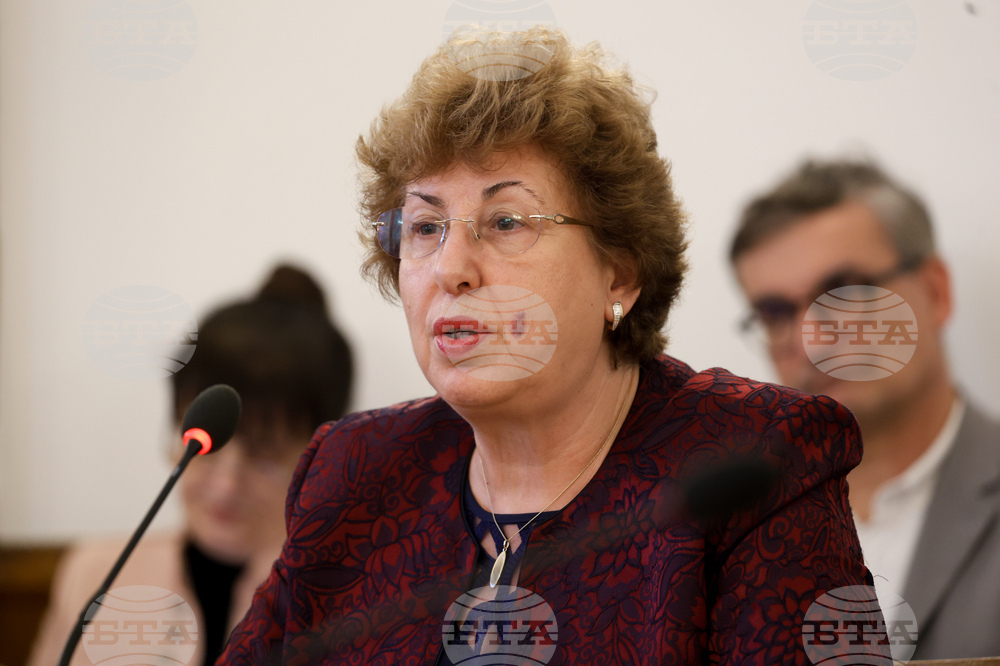 "БСП – Обединена левица" ще подкрепи проектобюджета за култура, каза народният представител Мариана Бояджиева 