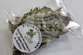 Кърджали - СУ „Йордан Йовков“ - разработката „Зелена революция“