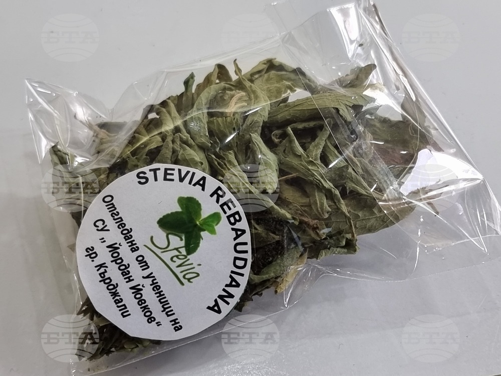 Кърджали - СУ „Йордан Йовков“ - разработката „Зелена революция“