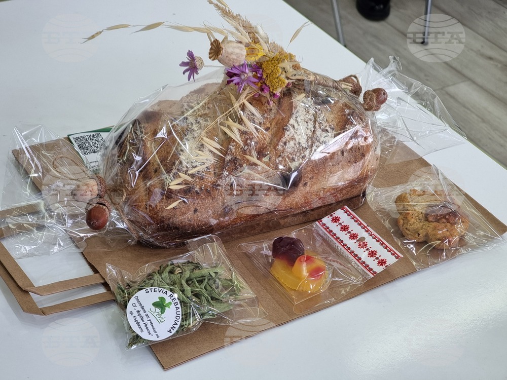 Кърджали - СУ „Йордан Йовков“ - разработката „Зелена революция“