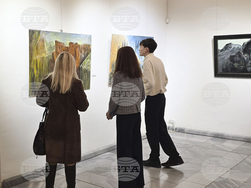 Добрич - "Присъствие" - изложба