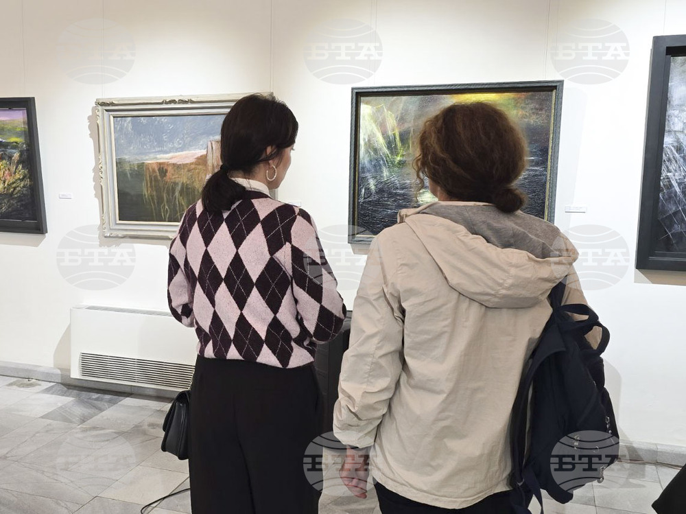 Добрич - "Присъствие" - изложба