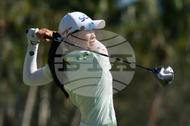 LPGA Tour Championship Golf