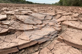 Rio Grande Shrinking Supplies