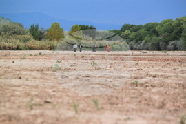 Rio Grande Shrinking Supplies