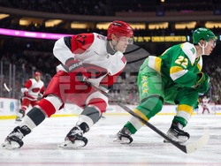 Hurricanes Wild Hockey