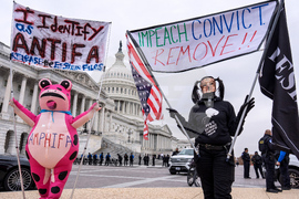 Congress Trump Protest