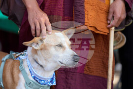 Monks Walk for Peace Accident