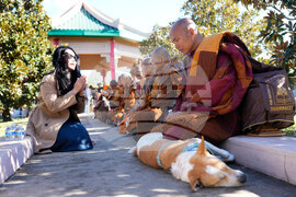 Monks Walk for Peace Accident