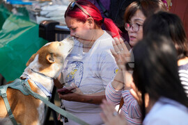 Monks Walk for Peace Accident