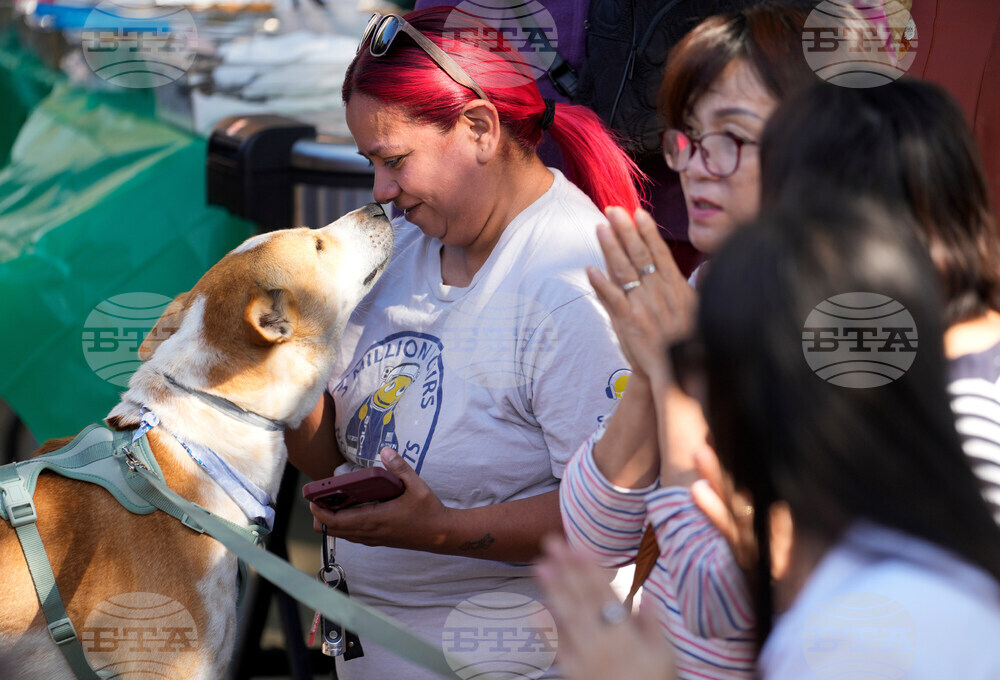 Monks Walk for Peace Accident