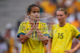 Montpellier-Fowler-Racism Allegations Soccer