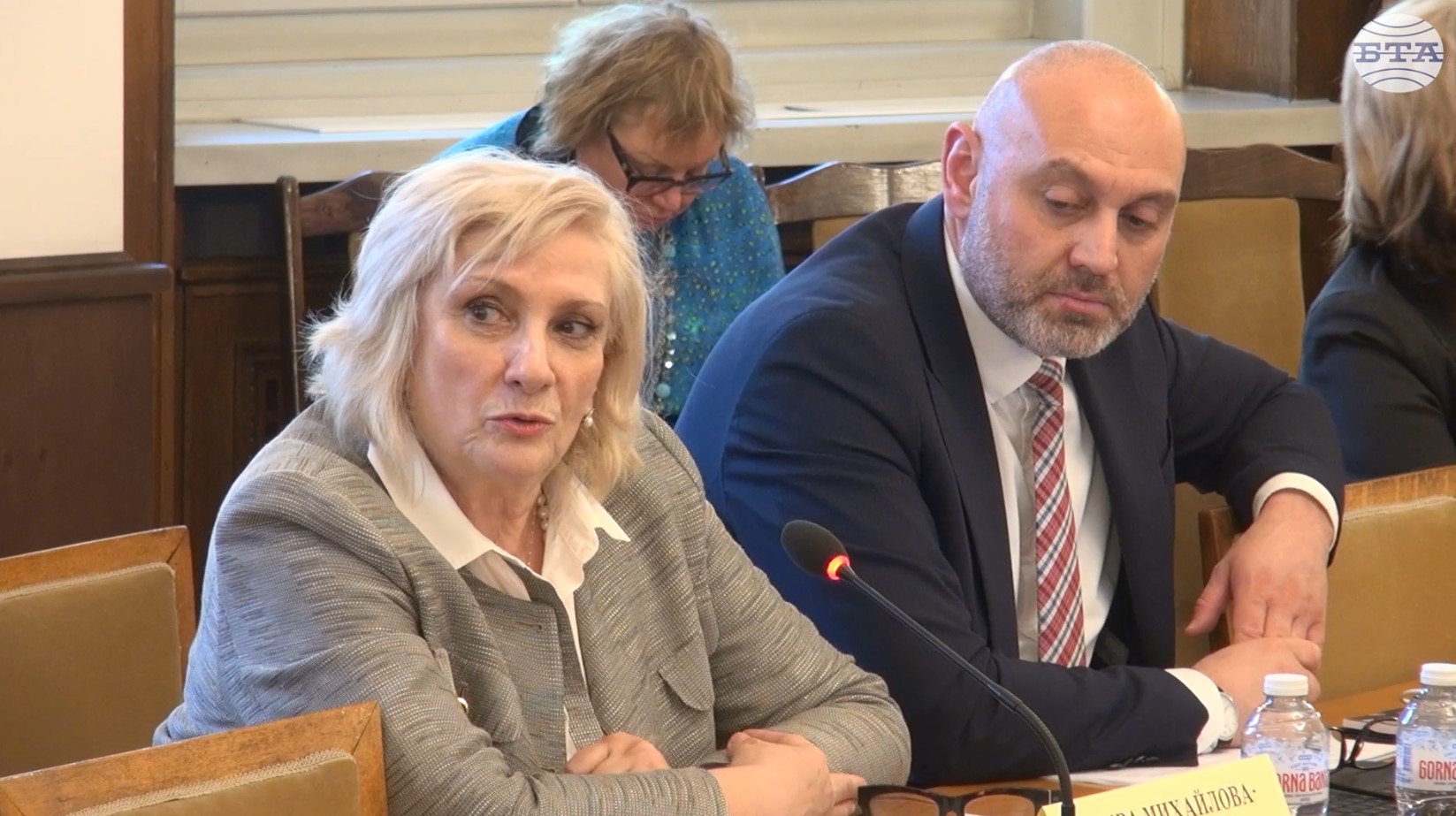 Сценичните изкуства имат нужда от финансиране, каза депутатът от ДПС - Ново начало Искра Михайлова - Копарова