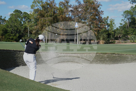 LPGA Tour Championship Golf