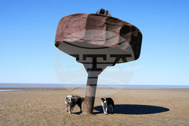 Pictures of the Week Global Photo Gallery