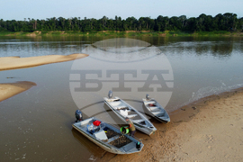 Brazil Turtles Released